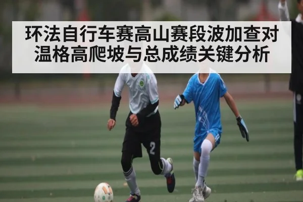 环法自行车赛高山赛段波加查对温格高爬坡与总成绩关键分析
